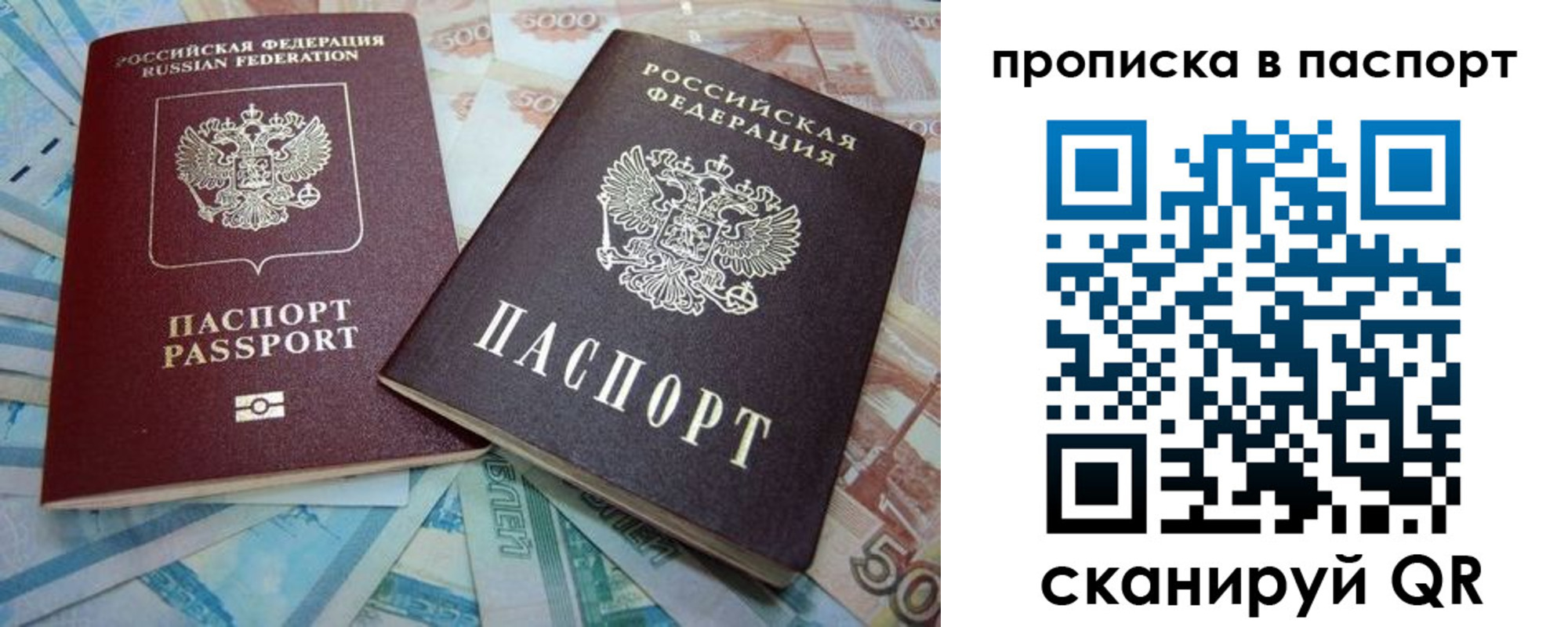 прописка поиск в Самарской области